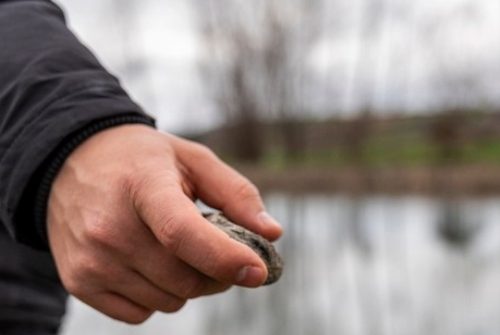 Cast the First Stone
